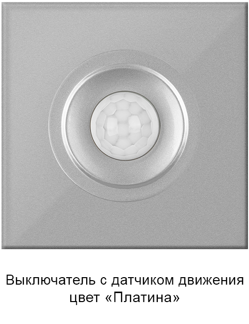 Розетка Платина Байкал