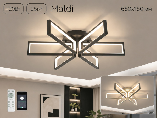 Maldi 2