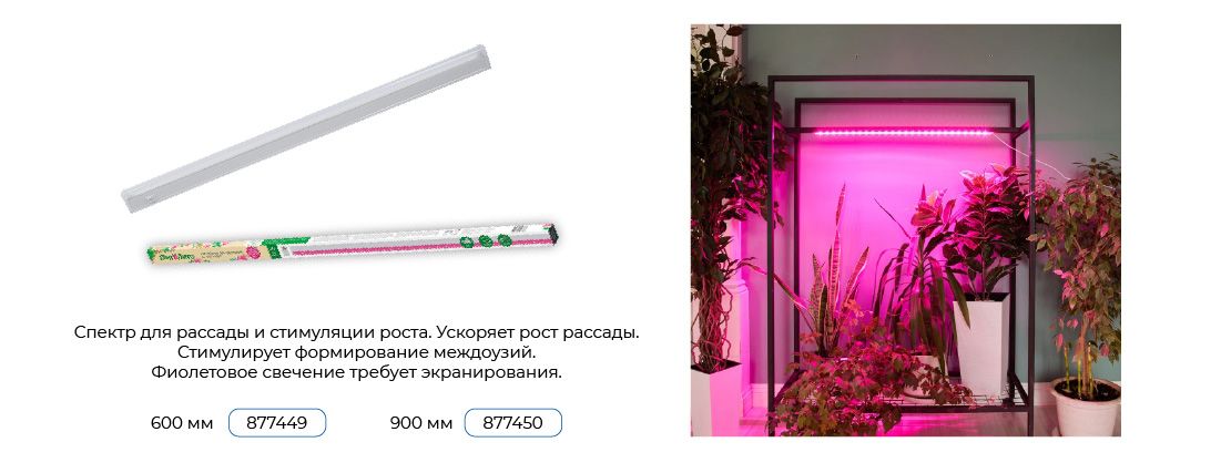 Верстка 06